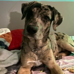 Meet your Posher, Jordan